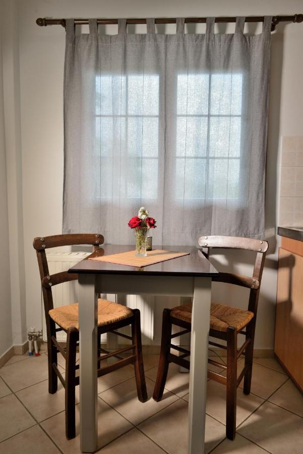 Artemis Apartments Konitsa Ngoại thất bức ảnh