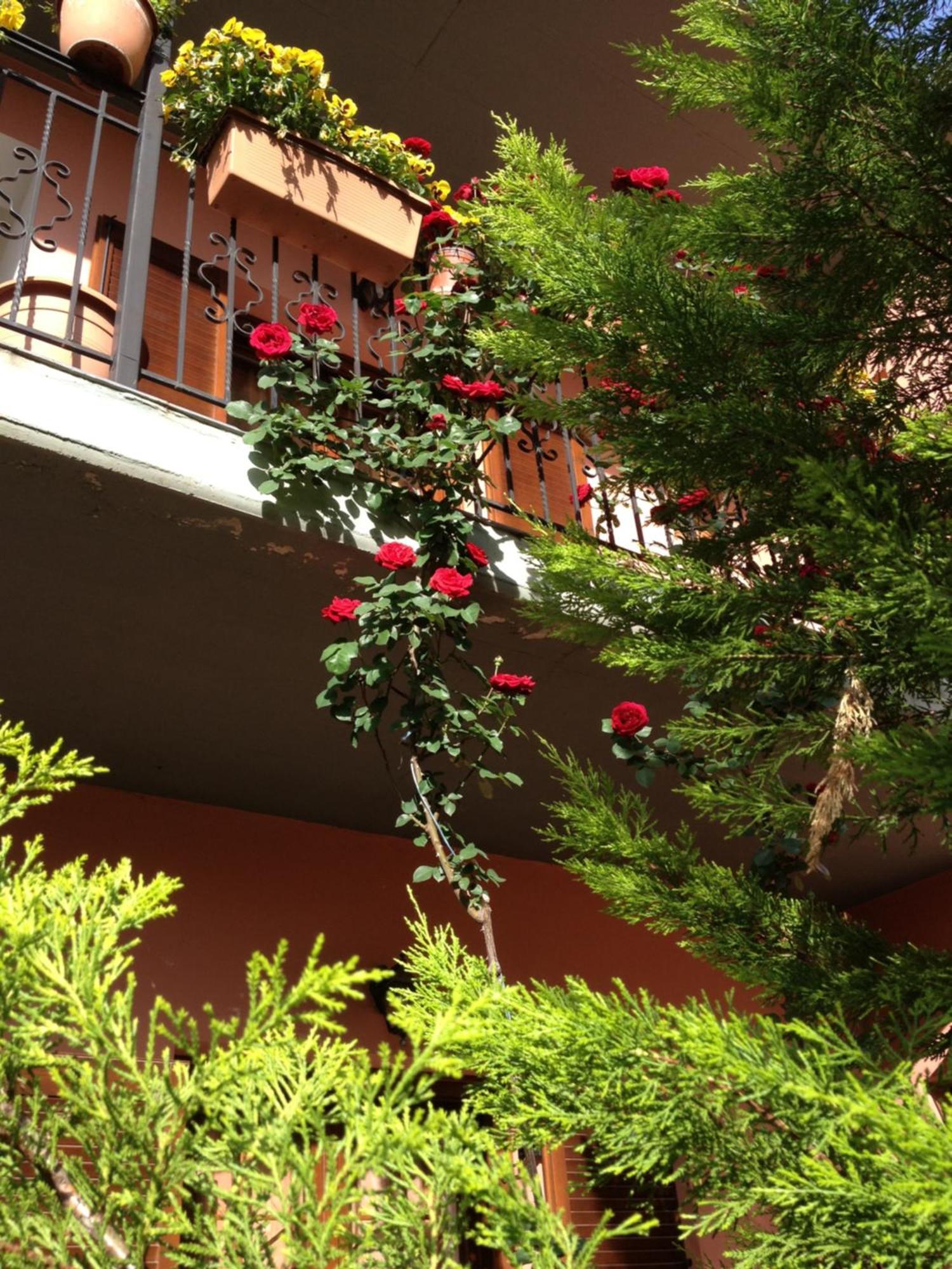 Artemis Apartments Konitsa Ngoại thất bức ảnh