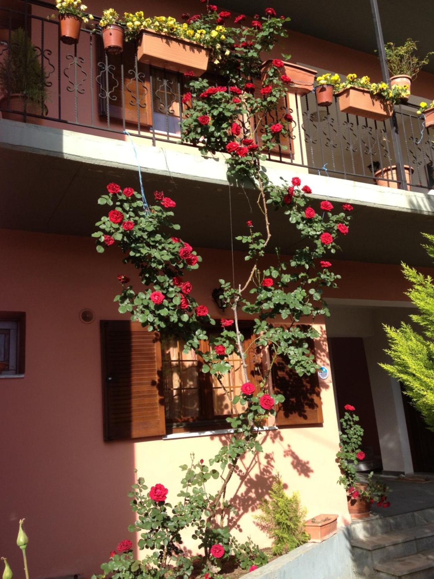 Artemis Apartments Konitsa Ngoại thất bức ảnh