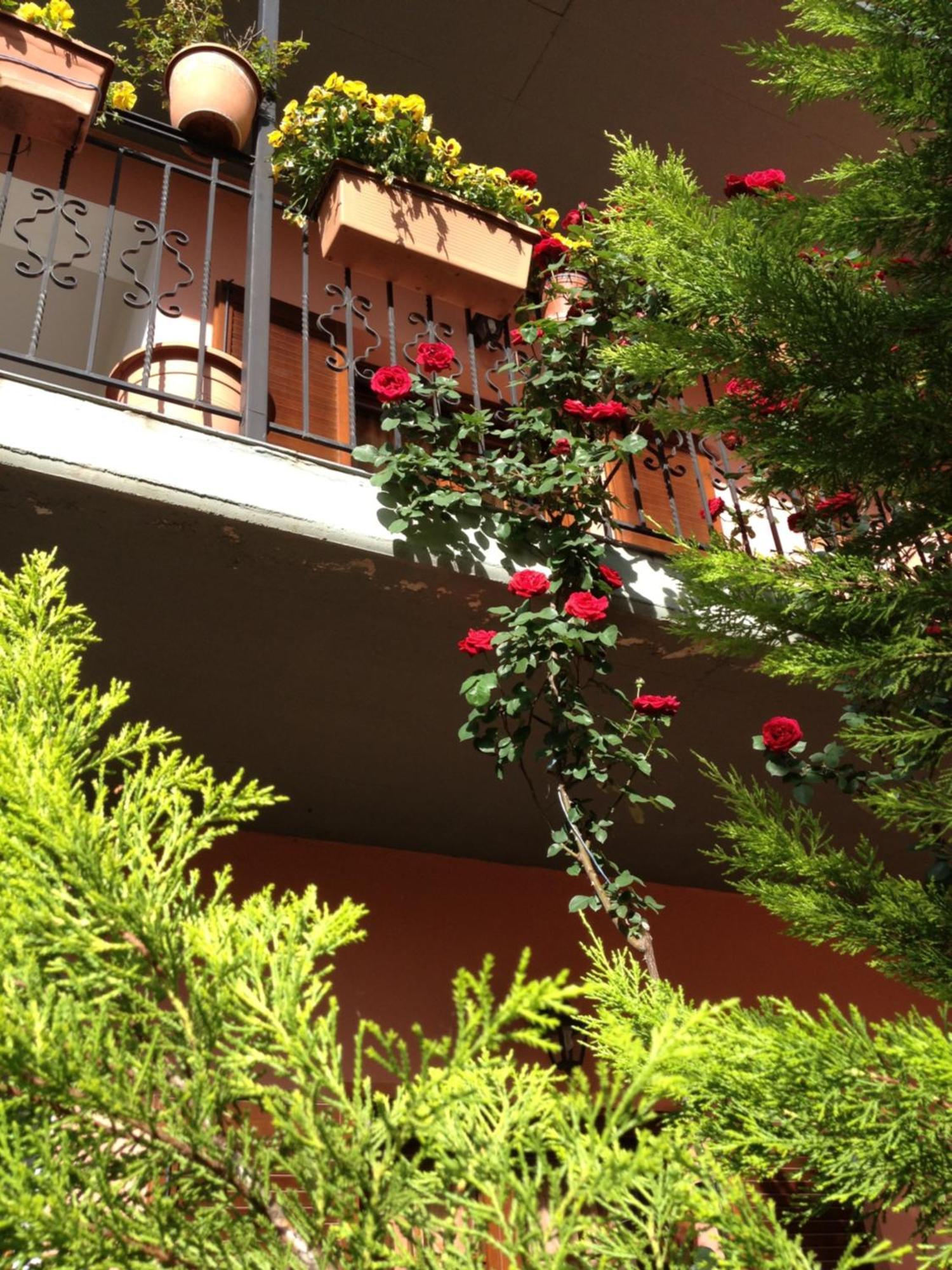 Artemis Apartments Konitsa Ngoại thất bức ảnh